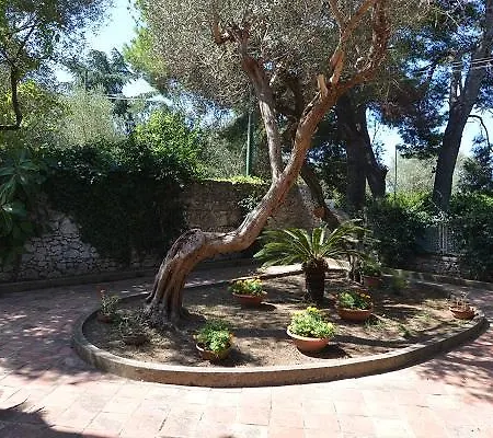 Anacapri's Sunshine *